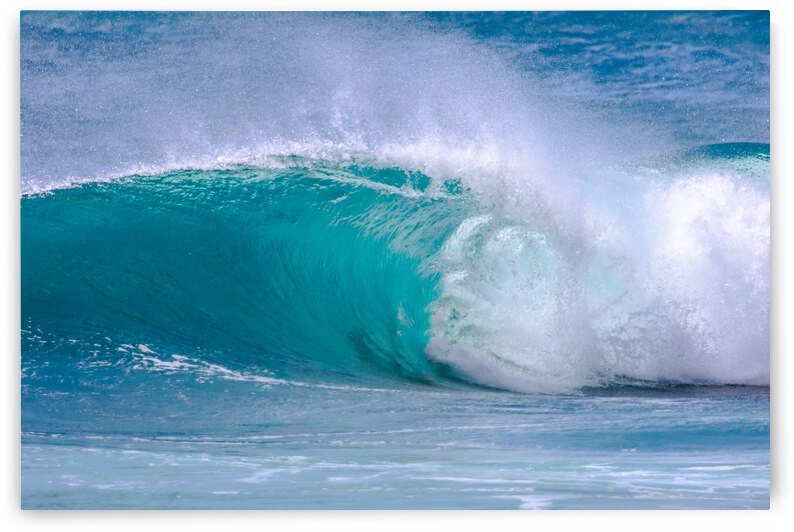 Hawaiian Barrel by RunAmuck Photography