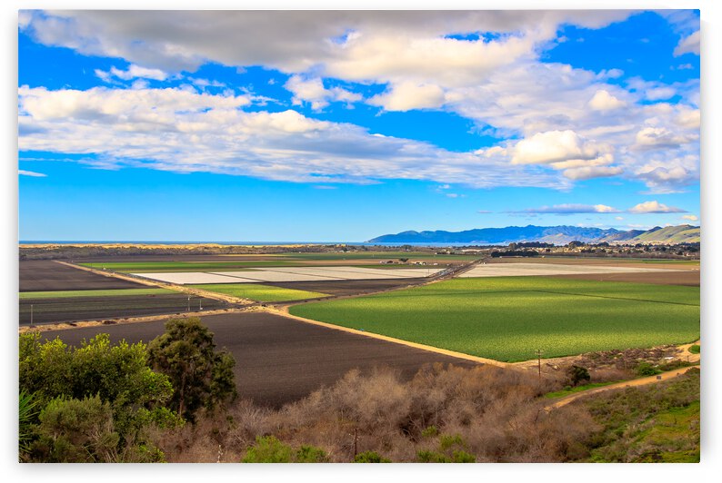 Farming Ocean by RunAmuck Photography