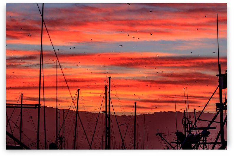 Harbor Sunrise by RunAmuck Photography