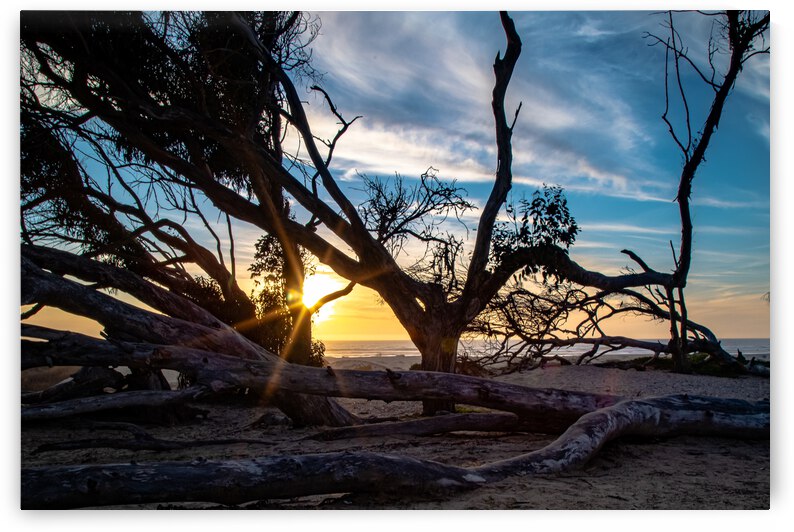 A Break in the wind by RunAmuck Photography