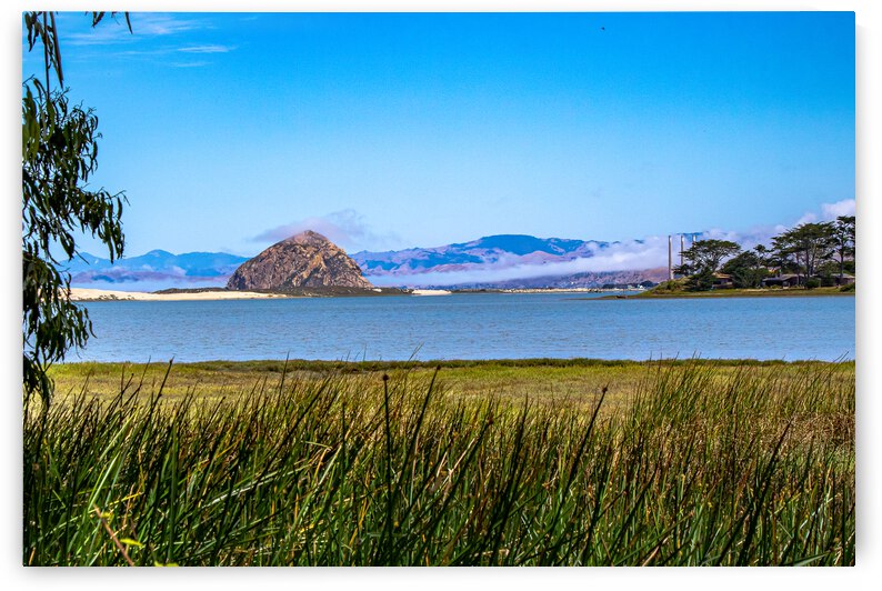 Estuary Rock by RunAmuck Photography