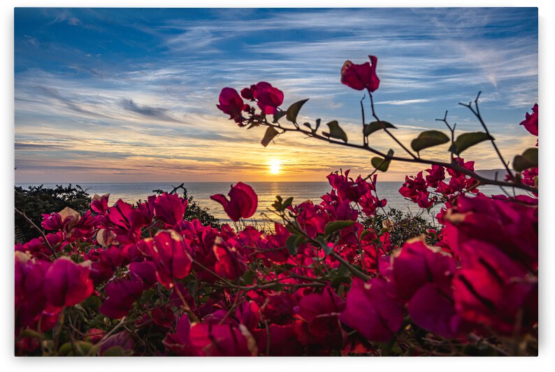 Boug Sunset3 by RunAmuck Photography