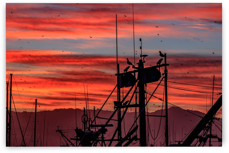 Mast Sunrise by RunAmuck Photography