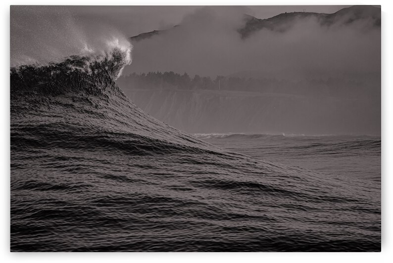 B W Mavs by RunAmuck Photography