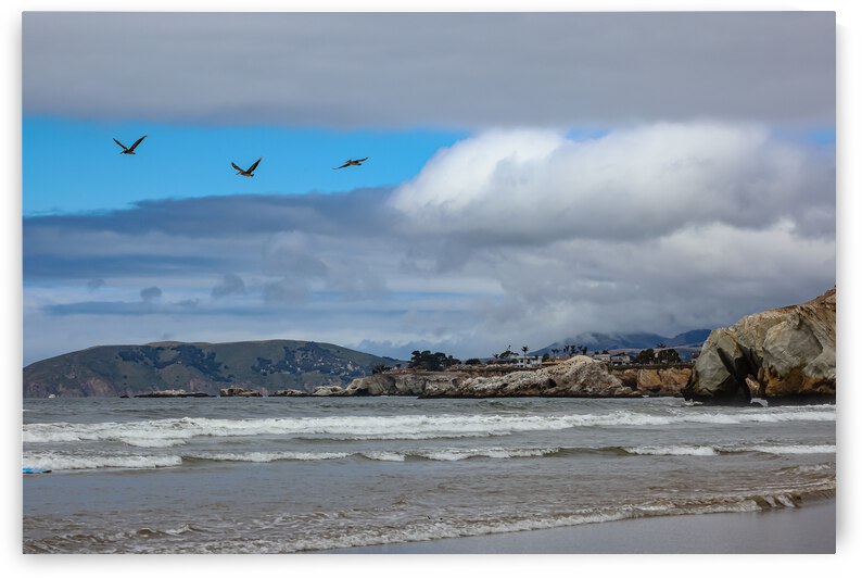 Pelican Cliffs by RunAmuck Photography