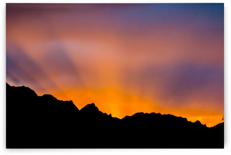 Lihue Rays by RunAmuck Photography