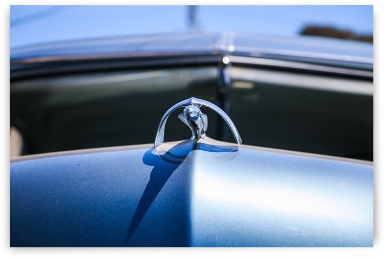 Merc Ornament by RunAmuck Photography