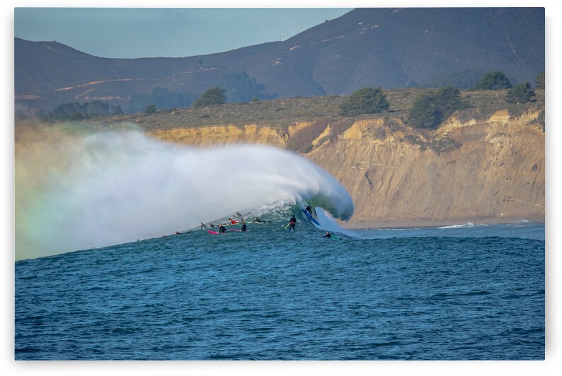 Mavs Mane by RunAmuck Photography