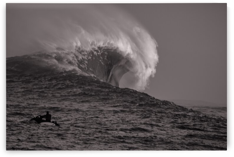 Mavs B W Seq 2 by RunAmuck Photography