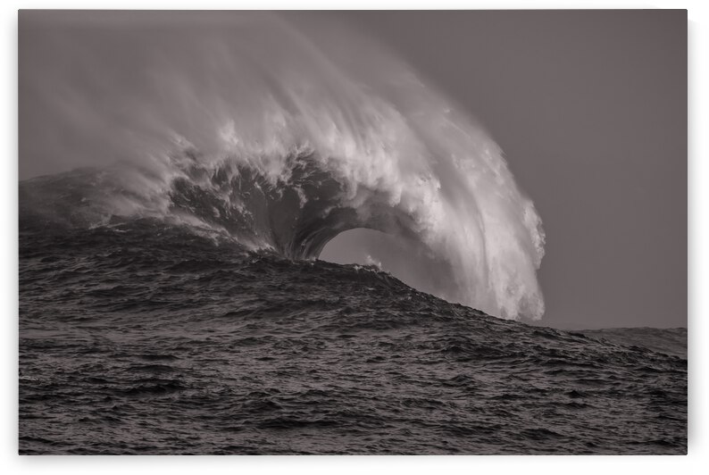 Mavs B W Seq 3 by RunAmuck Photography