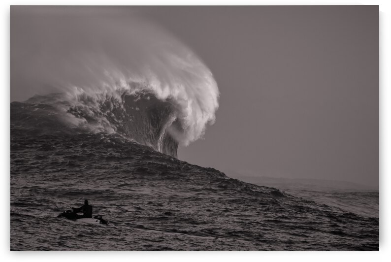 Mavs B W Seq 1 by RunAmuck Photography