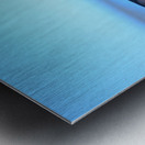 Fin Metal print