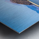 Grassy Rock Metal print