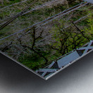 Ghost Bridge Metal print