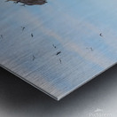 Bird Rock Metal print