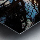 A Break in the wind Metal print