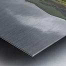 Cloudy Vineyard Metal print