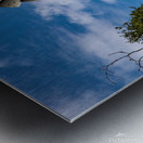 Got Water Metal print
