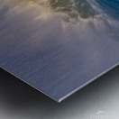 Nalu Metal print