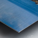 Mojon Metal print