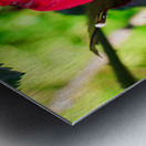 RedRose Metal print