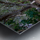 Rose s Garden Metal print