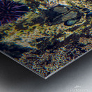 Pirat3e Urchin Metal print