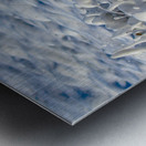Seafoam Metal print
