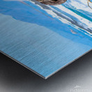 Sealion Sunning Metal print