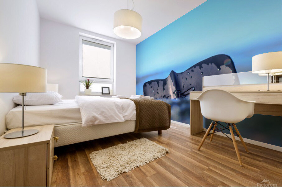 Fin Mural print