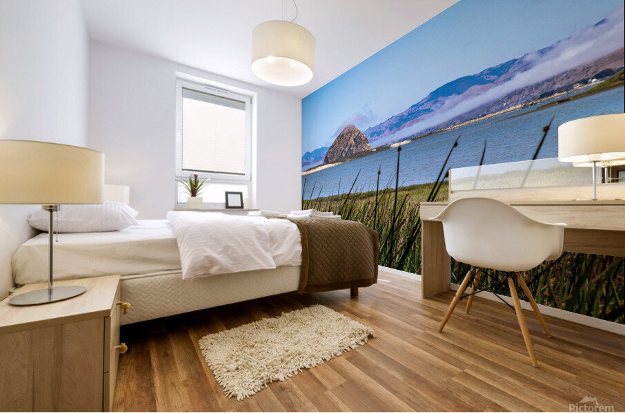 Grassy Rock Mural print
