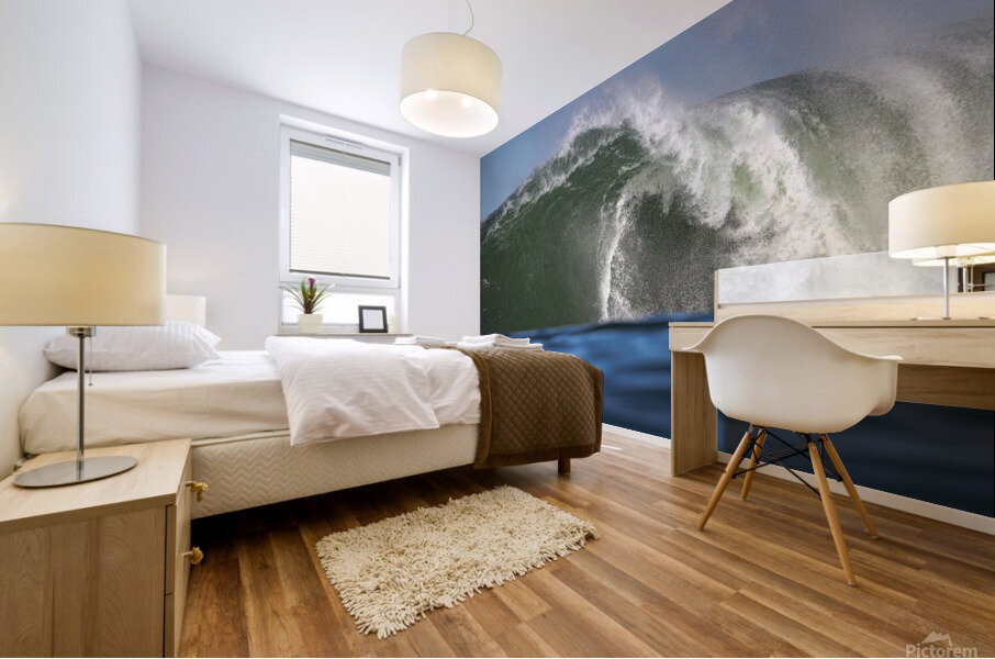 Imaginative State Mural print