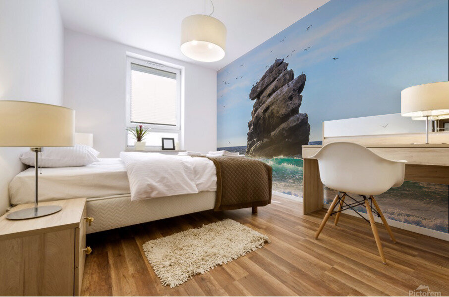 Bird Rock Mural print
