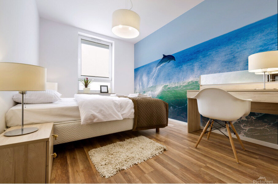 Dolphin Flyaway Mural print