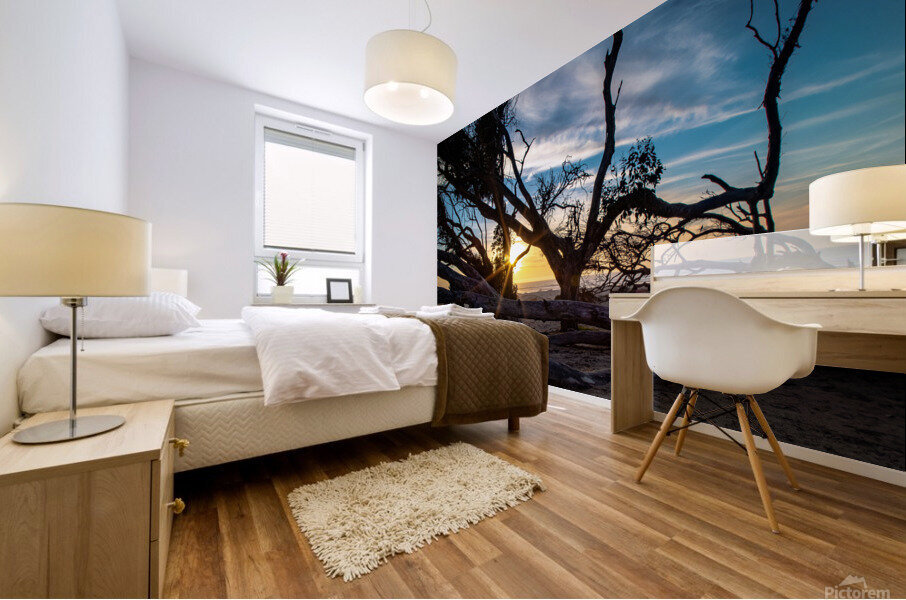 A Break in the wind Mural print