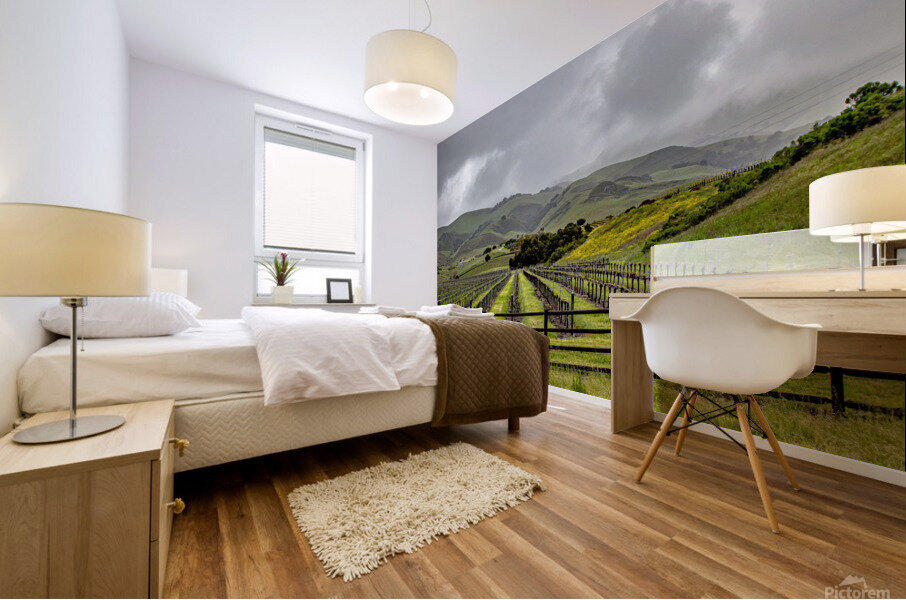 Cloudy Vineyard Mural print