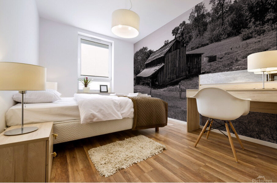 Da Barn Mural print