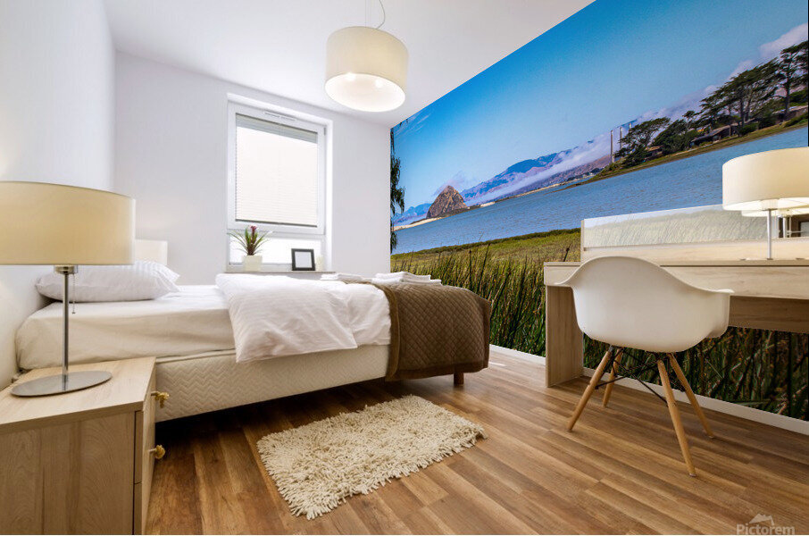Estuary Rock Mural print