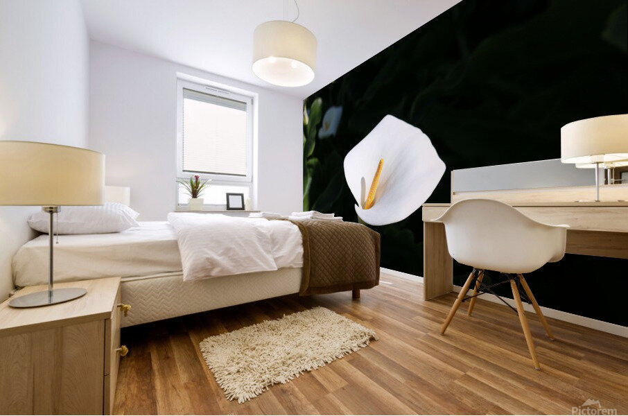 Lily Mural print