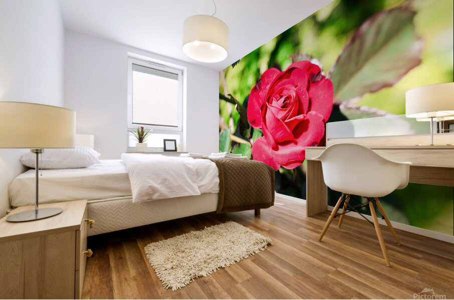 RedRose Mural print