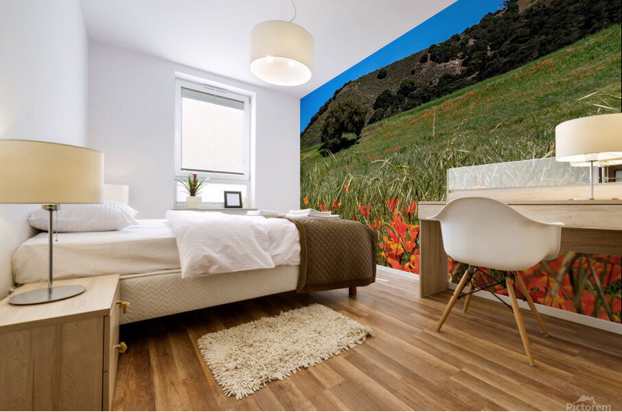 Poppy Oak Mural print