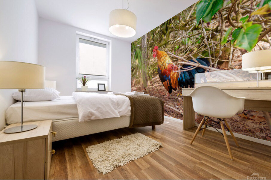 Rooster Mural print