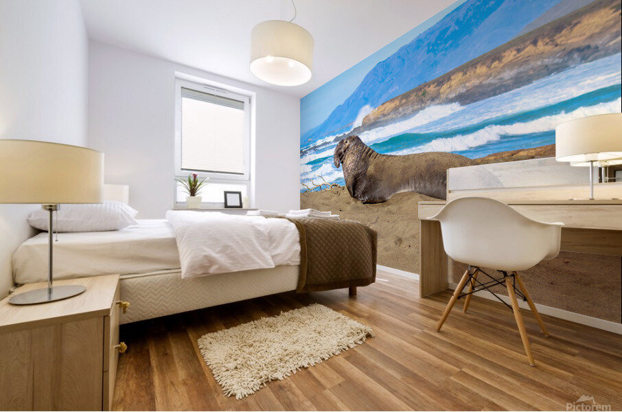 Sealion Sunning Mural print