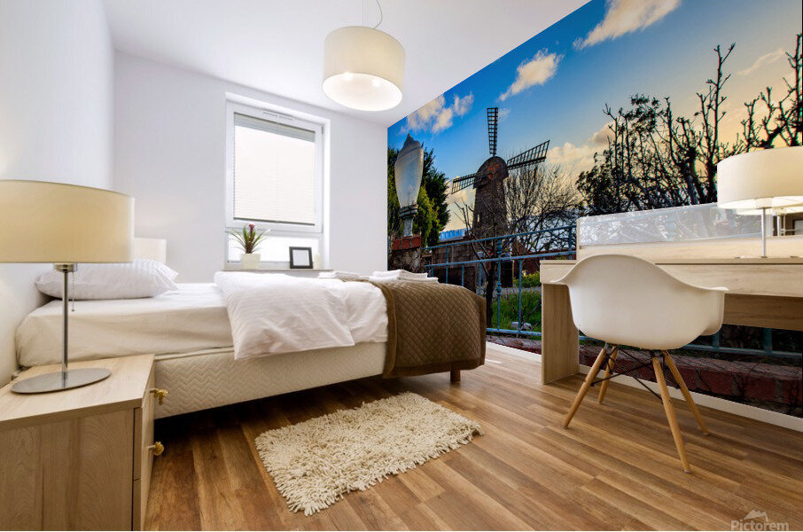 Shell Windmill Mural print