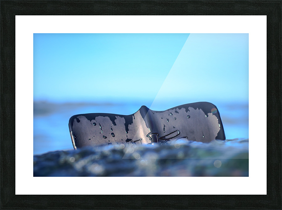 Fin Picture Frame print
