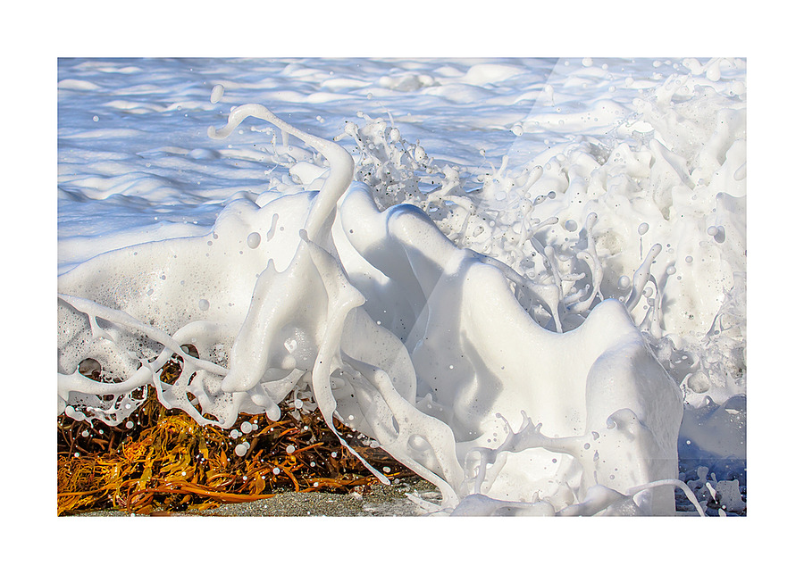 Froth Picture Frame print