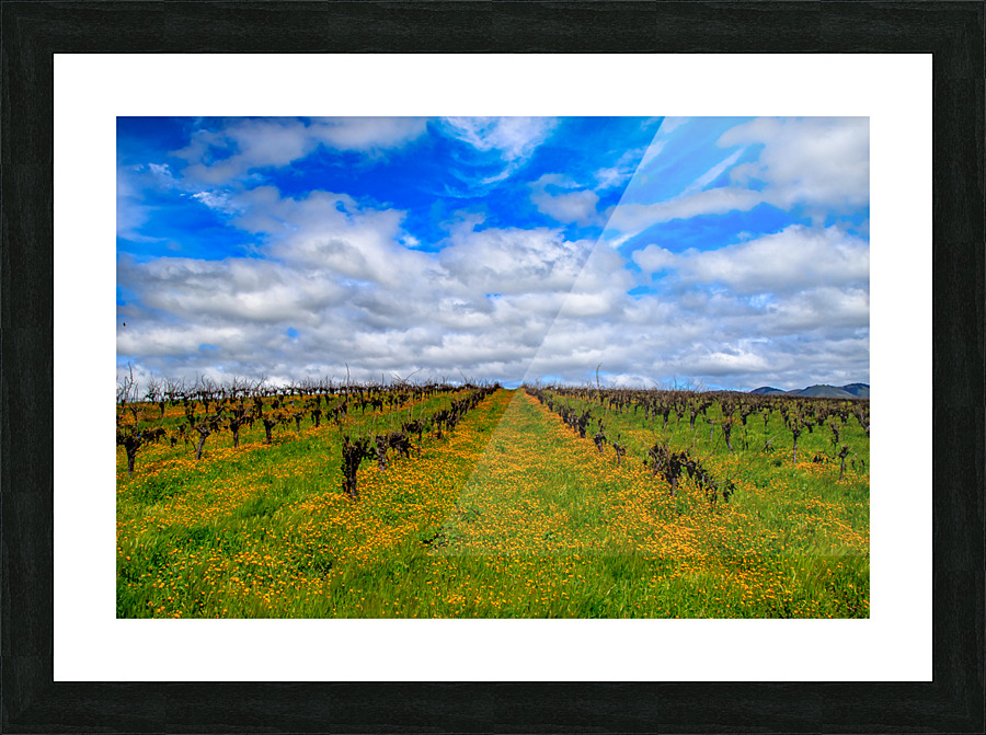 Flowery Vineyard Picture Frame print
