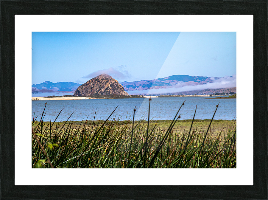 Grassy Rock Picture Frame print