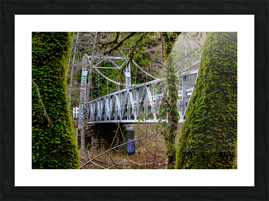 Hidden Bridge Picture Frame print