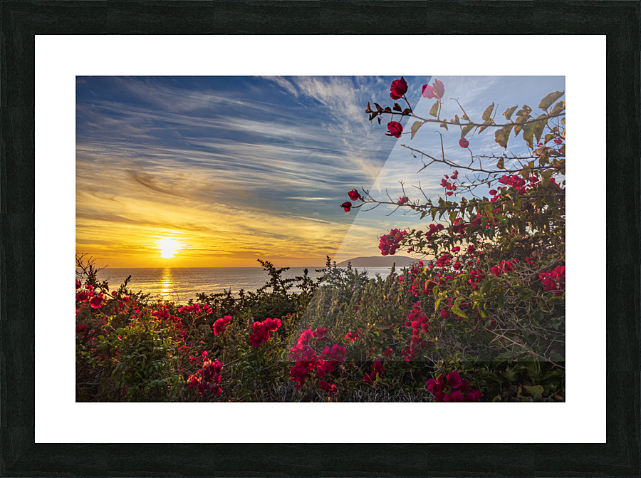 Boug sunset2 Picture Frame print